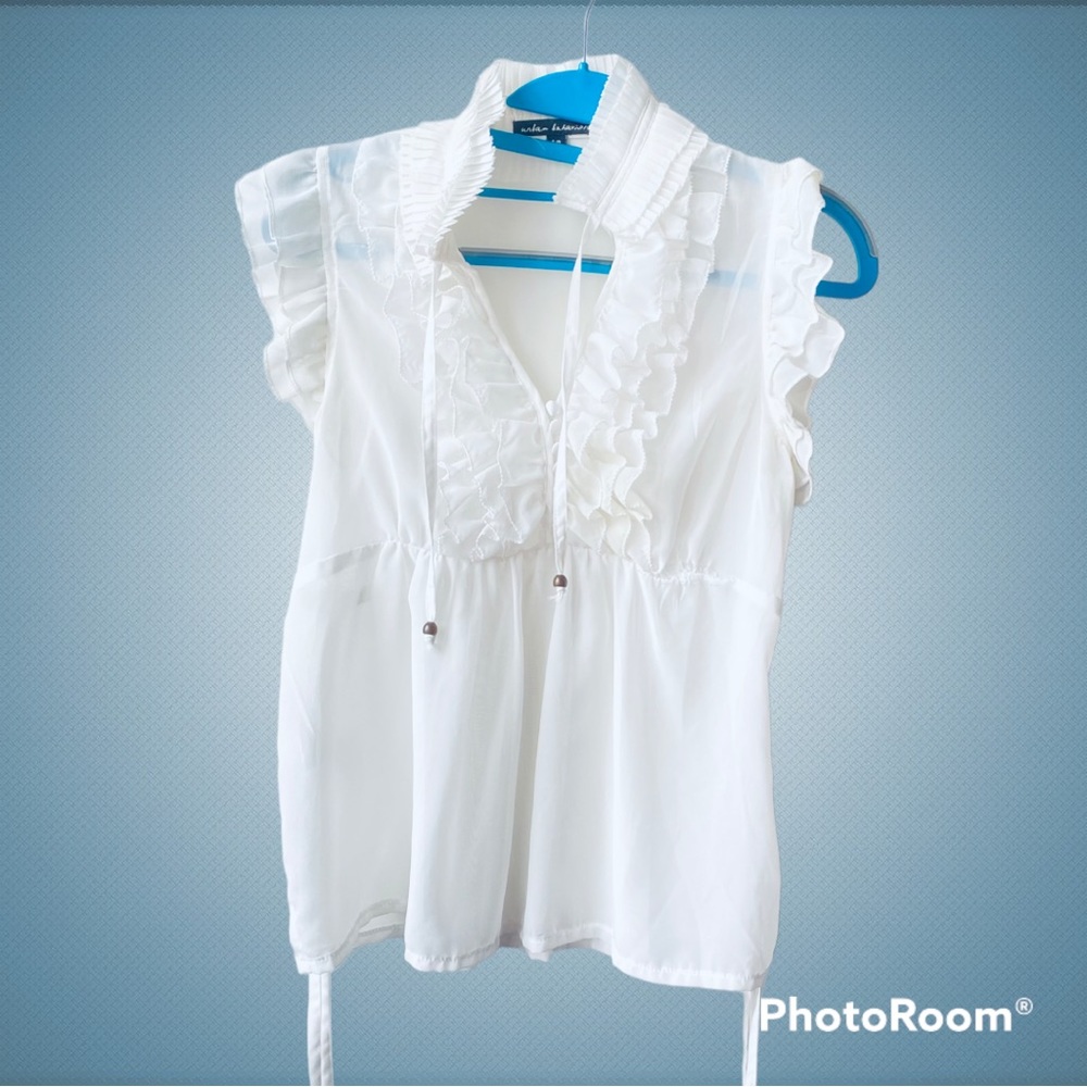 🦋 2 for $25 U.B Sheer Ruffly Blouse SM Light Academia